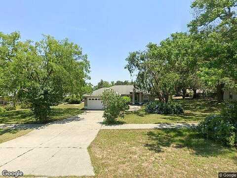Sandy, GRAND ISLAND, FL 32735