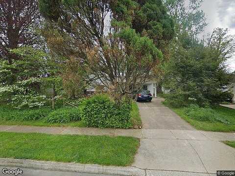 Bald Cypress, LEVITTOWN, PA 19054