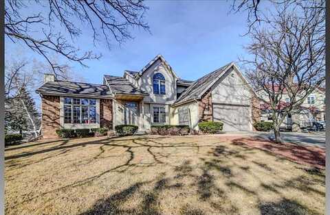 Fox, COTTAGE GROVE, WI 53527