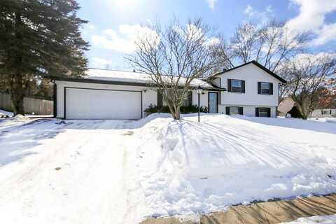 Fordham, SAINT PAUL, MN 55124