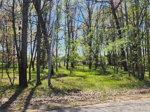 6923 Abbey Lane, Canadian Lakes, MI 49346