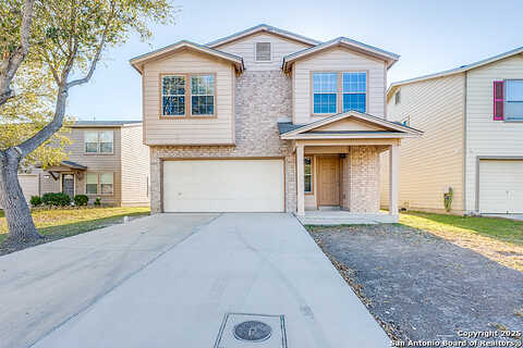 Stallion, SAN ANTONIO, TX 78244