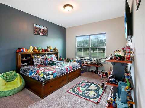 Magnificent, GROVELAND, FL 34736