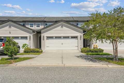 Magnificent, GROVELAND, FL 34736