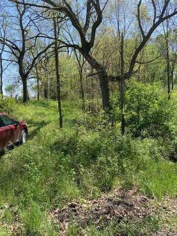 0 Mahrle Road, Manchester, MI 48158