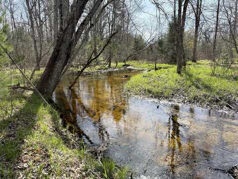 00# N Benson Road, Fountain, MI 49410