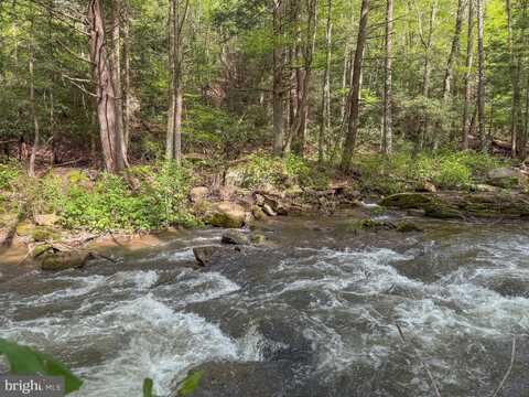 SPRING LICK ROAD, SWANTON, MD 21561