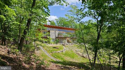 559 BESSIE BELL MOUNTAIN ROAD, CASTLETON, VA 22716