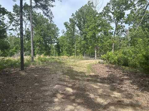 000 Highway 21 And County Road 546, Ellington, MO 63638