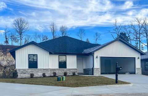 196 Rockridge Road, Branson, MO 65616