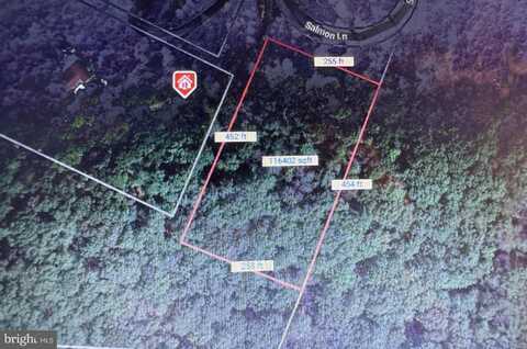 LOT 3 SALMON LANE, BERKELEY SPRINGS, WV 25411