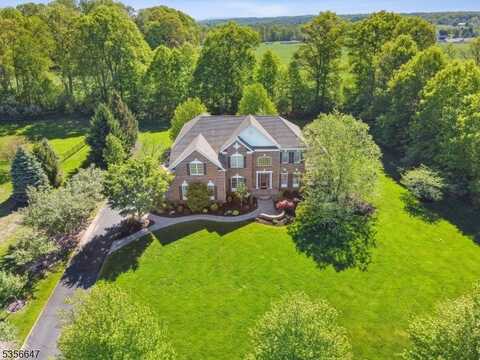 47 Balmoral Dr, Alexandria Twp., NJ 08867