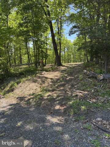 LOT 3 RIDGEVIEW ROAD, GORE, VA 22637