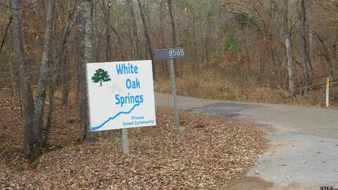 310 PR 8570, Winnsboro, TX 75494