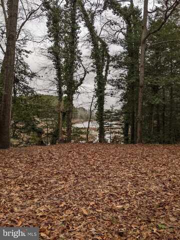 32013 LONG LANE, LEWES, DE 19958