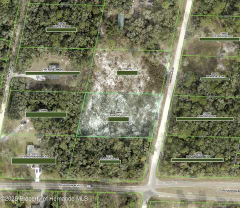 0 knoxville Drive, Ridge Manor, FL 33597