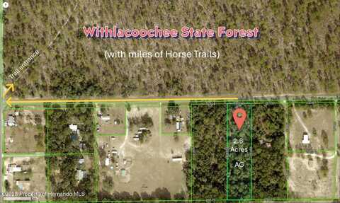 0 Wildlife Lane, Brooksville, FL 34602