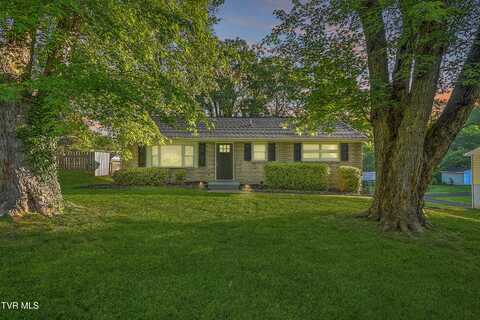 116 Lakeview Circle, Kingsport, TN 37663