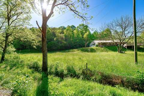 1668 Fowlers Br Road, Hiltons, VA 24258