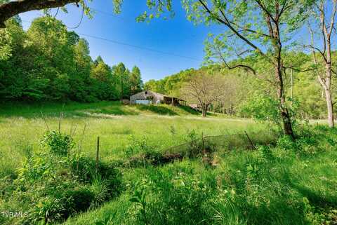 1668 Fowlers Br Road, Hiltons, VA 24258