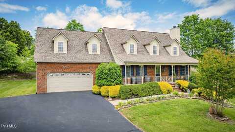 118 Meadow Court, Gray, TN 37615