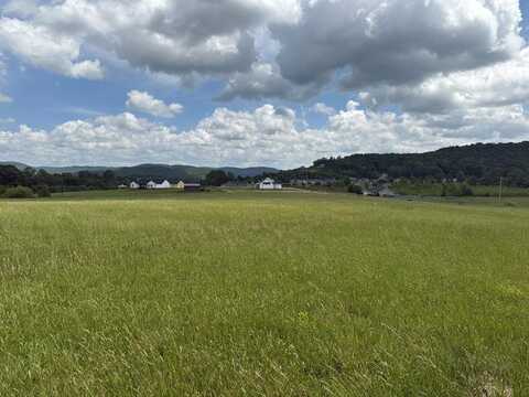 392 Bethlehem Rd, RICKMAN, TN 38580