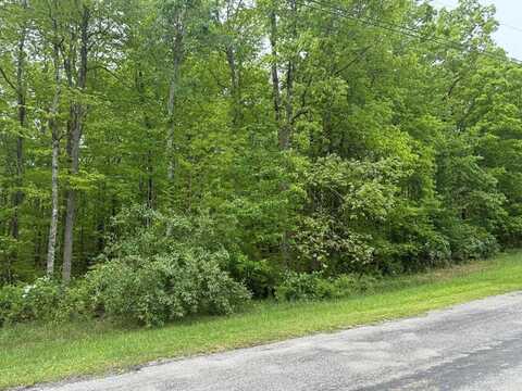 E Cove Road, MONTEREY, TN 38574