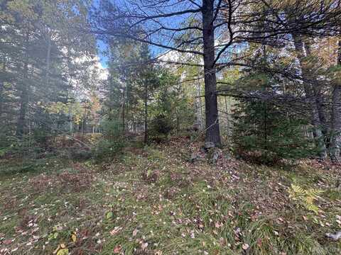 10 ac Paint River, Crystal Falls, MI 49920