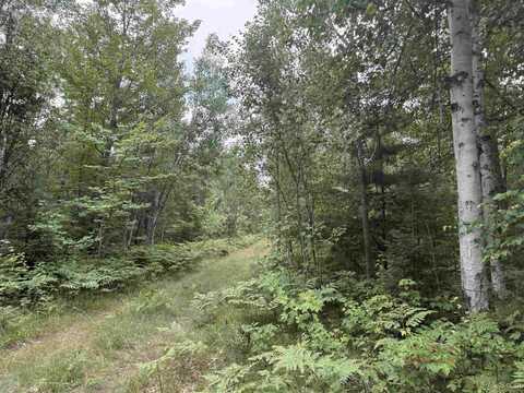 10 ac Paint River, Crystal Falls, MI 49920
