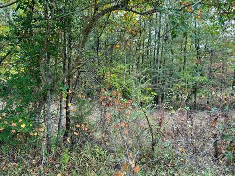 LT 9,10,11 EVANS Cir, Jasper, AL 35501