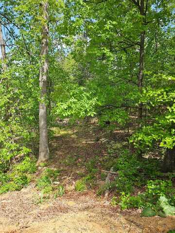 0 RIDGE VIEW LN, ELKTON, VA 22827