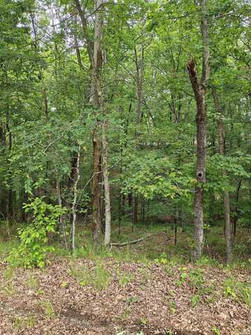 789 PLUM HOLLOW, Hot Springs, AR 71913