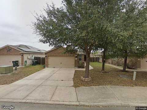 Luckey Tree, SAN ANTONIO, TX 78252