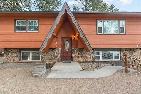 Lorraine, WOODLAND PARK, CO 80863