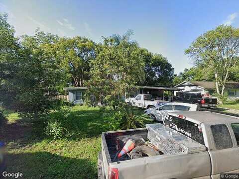 Plumosus, ALTAMONTE SPRINGS, FL 32701