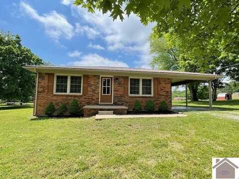 197 Briarfield Lane, Cadiz, KY 42211
