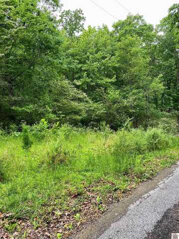00 Tearose Dr., New Concord, KY 42076