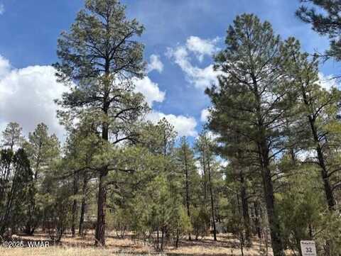 3260 W Black Oak Loop, Show Low, AZ 85901