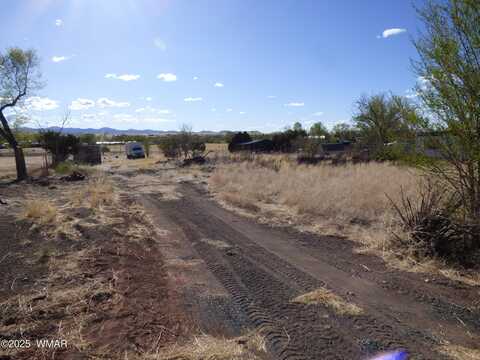 235 S Papago Street, Springerville, AZ 85938
