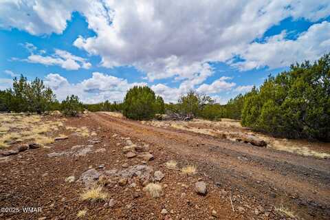 1528 Falcon Road, Show Low, AZ 85901
