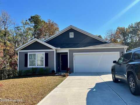 421 High Ridge Court, Sneads Ferry, NC 28460
