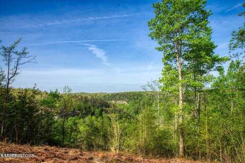 Lot 51 Grandview Way, Jamestown, TN 38556