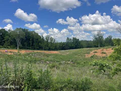 Lot 10 Laura Boling Loop Rd, Strawberry Plains, TN 37871