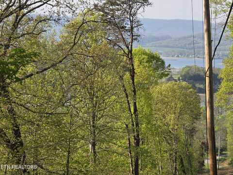 Tr-4 BOATMANS MOUNTAIN-25.54ac, Morristown, TN 37814