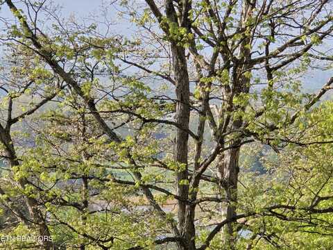 29+acres BOATMANS MOUNTAIN, Morristown, TN 37814