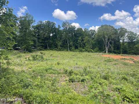 Lot 9 Laura Boling Loop Rd, Strawberry Plains, TN 37871