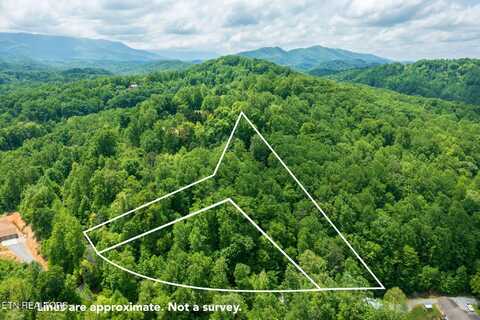 Running Bear Road, Cosby, TN 37722
