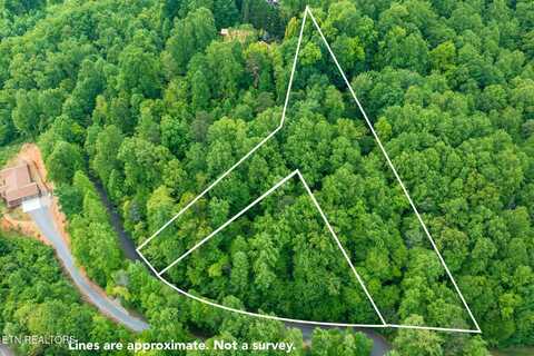 Running Bear Road, Cosby, TN 37722