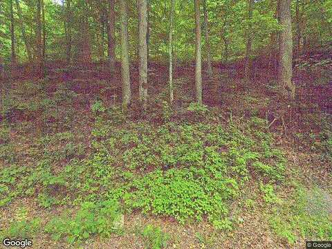 Smith Creek, BRISTOL, VA 24202