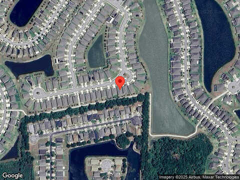 Tansy, WESLEY CHAPEL, FL 33545